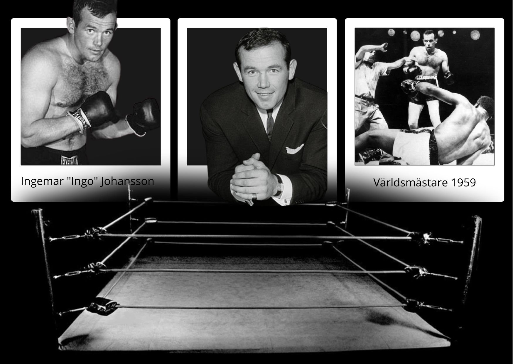 ingemar_ingo_johansson_biografi_varldsmastare-boxning-1959_aktivitet_for_aldre.