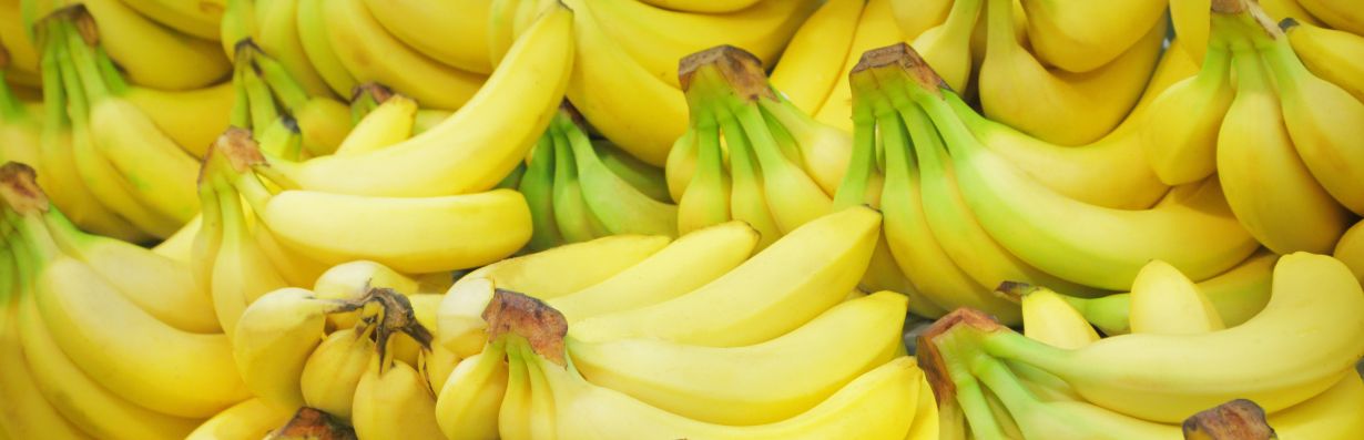 Bananens_dag_Citat_bananer__bananens_historia_Sverige_bananmusik