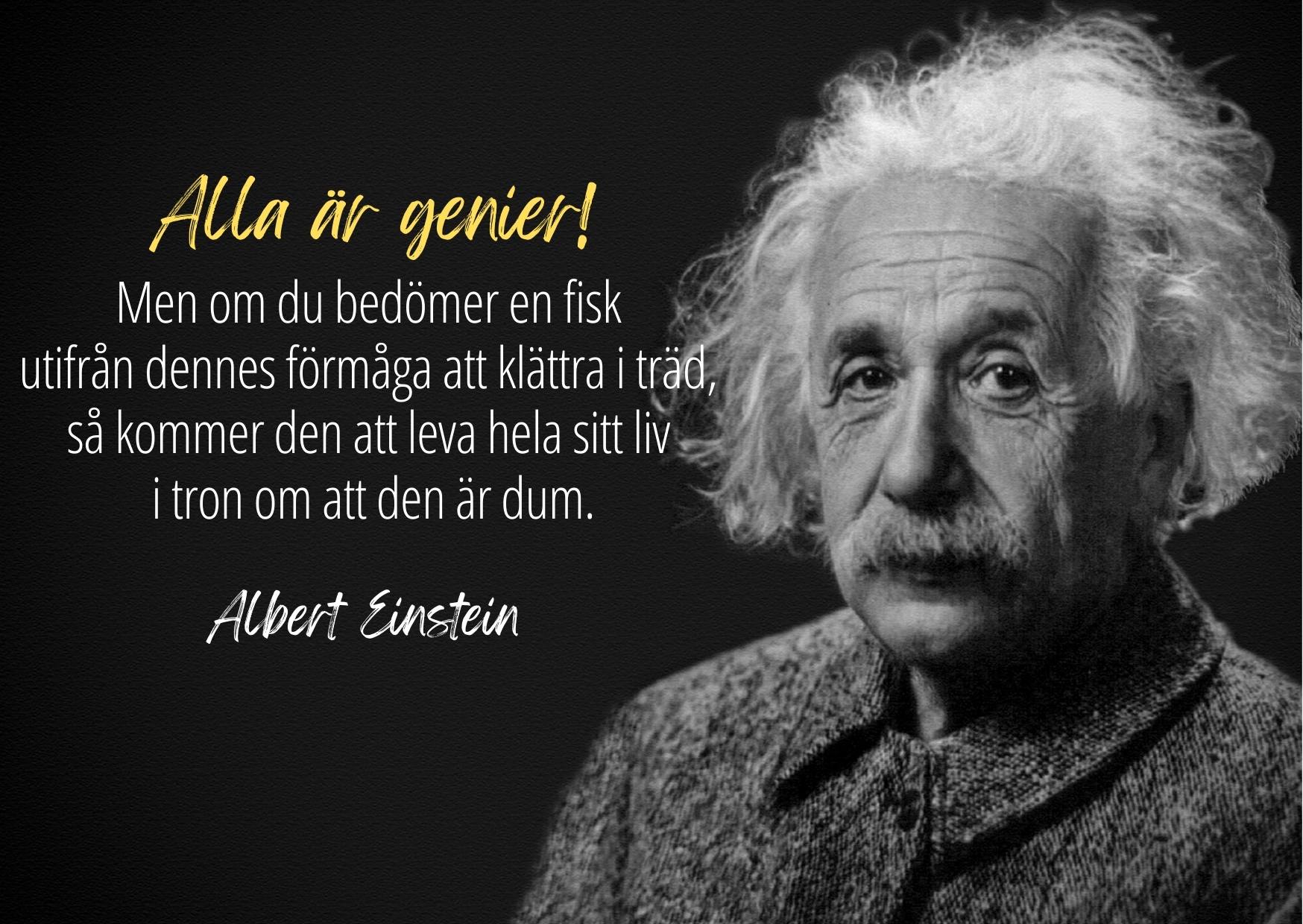 vad-uppfann-albert-einstein-nobelpris-i-fysik-albert-einstein-citat_biografi