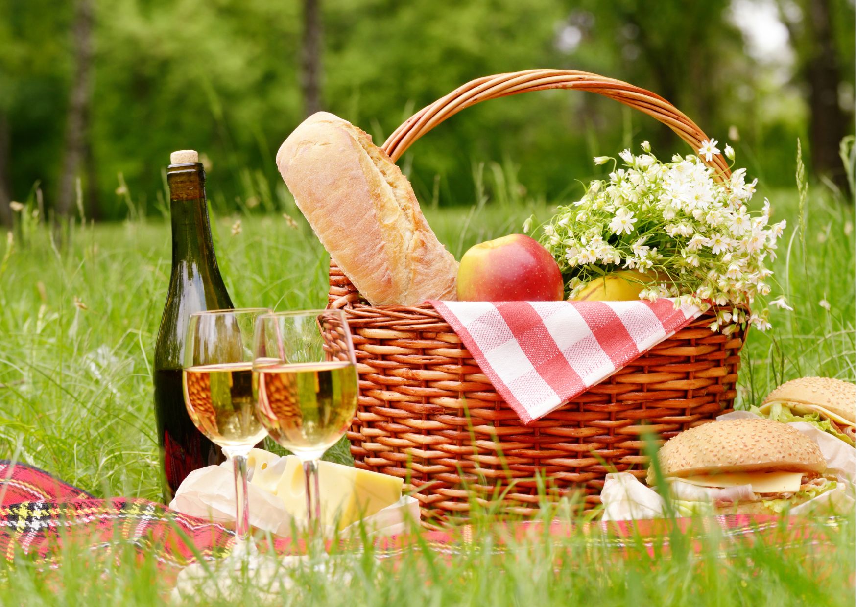 Picknick_tradgardsfest_picknickens_dag_365happydays_aktivitet