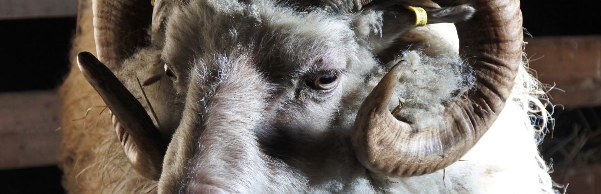 Fragesport_gissa_vilken_Anders_det_ar_av_17_365happydays_aktivitet