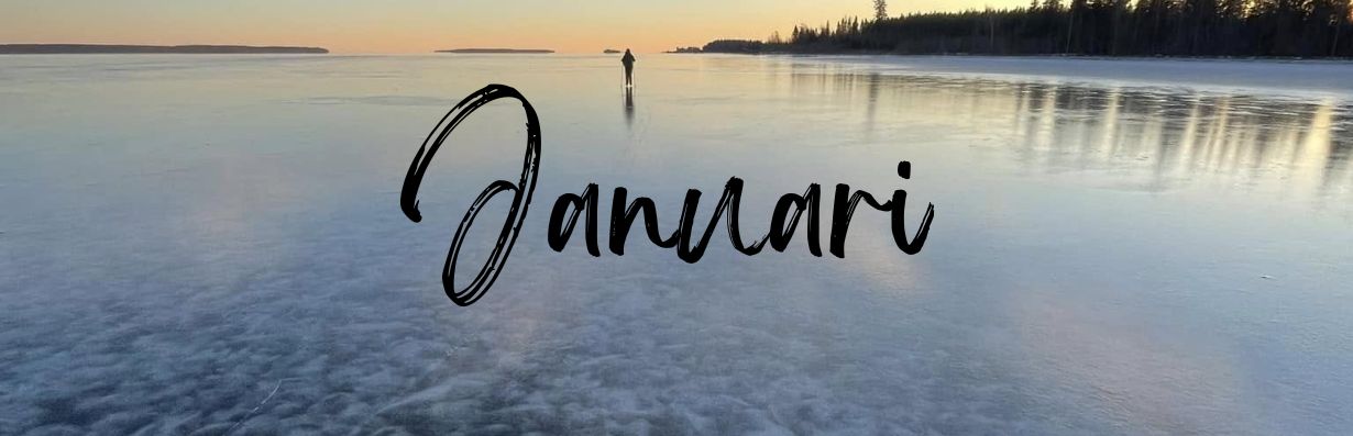 Januari_2026_aktiviteter_for_aldre_365happydays