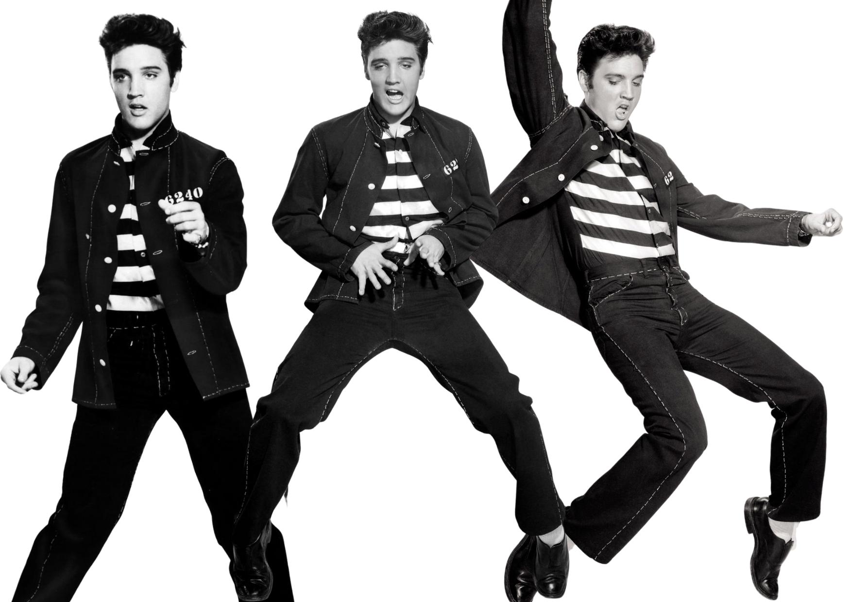 elvis_presley_gissa_vilken_Elvislat_365happydays_aktivitet